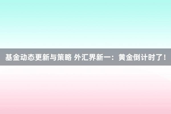 基金动态更新与策略 外汇界新一：黄金倒计时了！