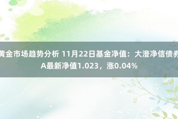 黄金市场趋势分析 11月22日基金净值：大澄净信债券A最新净值1.023，涨0.04%