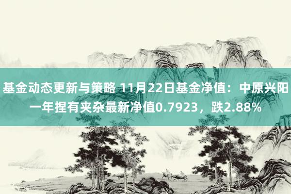 基金动态更新与策略 11月22日基金净值：中原兴阳一年捏有夹杂最新净值0.7923，跌2.88%