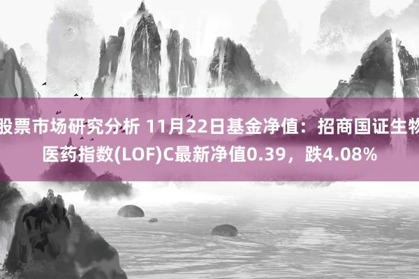 股票市场研究分析 11月22日基金净值：招商国证生物医药指数(LOF)C最新净值0.39，跌4.08%