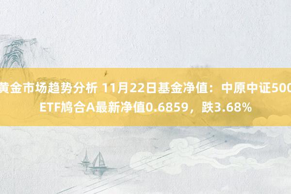 黄金市场趋势分析 11月22日基金净值：中原中证500ETF鸠合A最新净值0.6859，跌3.68%