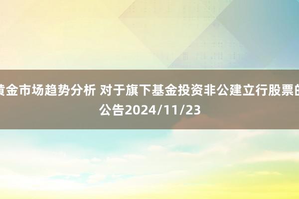 黄金市场趋势分析 对于旗下基金投资非公建立行股票的公告2024/11/23