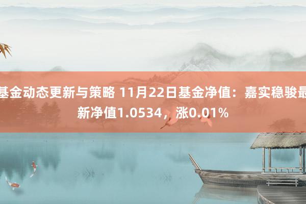 基金动态更新与策略 11月22日基金净值：嘉实稳骏最新净值1.0534，涨0.01%