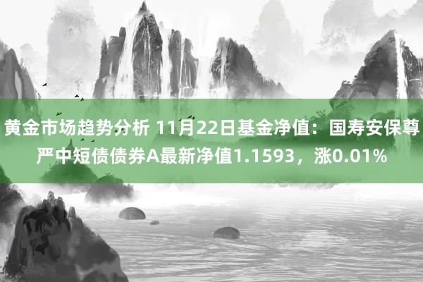 黄金市场趋势分析 11月22日基金净值：国寿安保尊严中短债债券A最新净值1.1593，涨0.01%