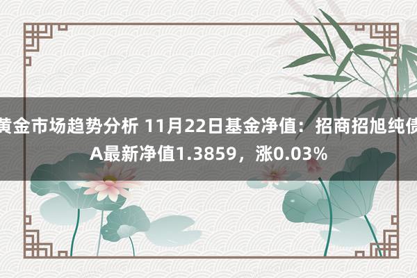 黄金市场趋势分析 11月22日基金净值：招商招旭纯债A最新净值1.3859，涨0.03%