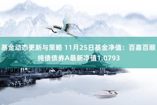 基金动态更新与策略 11月25日基金净值：百嘉百顺纯债债券A最新净值1.0793