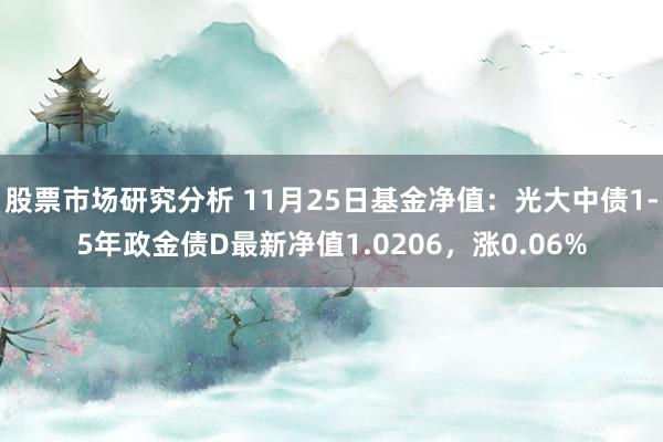 股票市场研究分析 11月25日基金净值：光大中债1-5年政金债D最新净值1.0206，涨0.06%