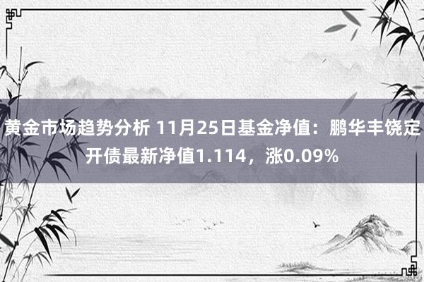 黄金市场趋势分析 11月25日基金净值：鹏华丰饶定开债最新净值1.114，涨0.09%