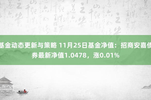 基金动态更新与策略 11月25日基金净值：招商安嘉债券最新净值1.0478，涨0.01%