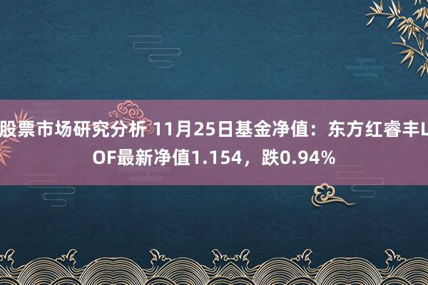 股票市场研究分析 11月25日基金净值：东方红睿丰LOF最新净值1.154，跌0.94%