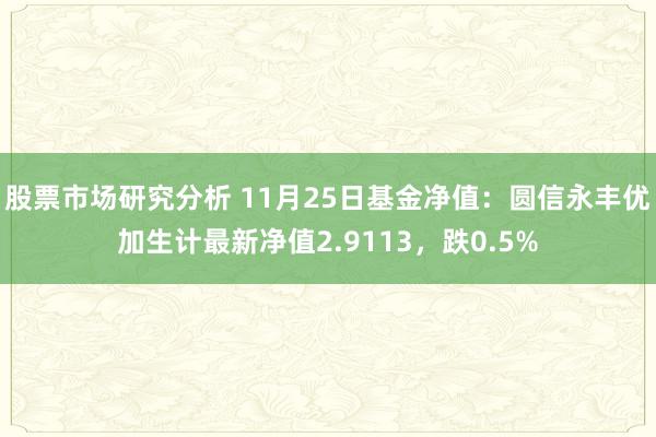 股票市场研究分析 11月25日基金净值：圆信永丰优加生计最新净值2.9113，跌0.5%