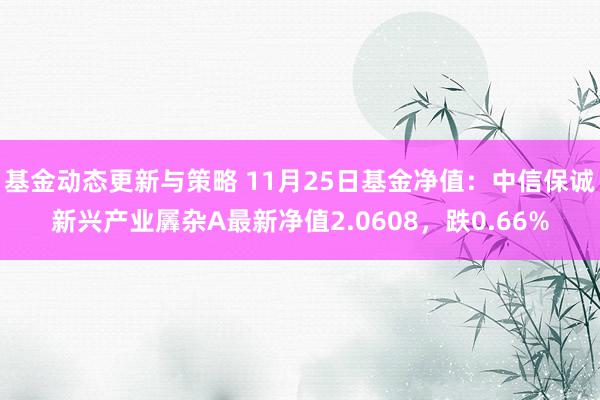 基金动态更新与策略 11月25日基金净值：中信保诚新兴产业羼杂A最新净值2.0608，跌0.66%