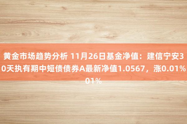 黄金市场趋势分析 11月26日基金净值：建信宁安30天执有期中短债债券A最新净值1.0567，涨0.01%