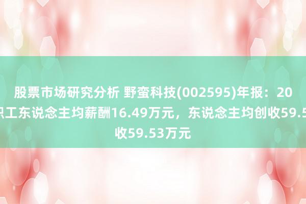 股票市场研究分析 野蛮科技(002595)年报：2024年职工东说念主均薪酬16.49万元，东说念主均创收59.53万元