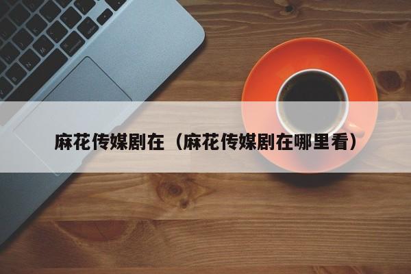 麻花传媒剧在（麻花传媒剧在哪里看）