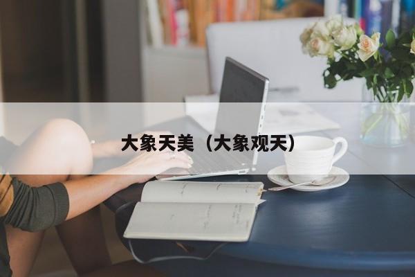 大象天美(大象观天)