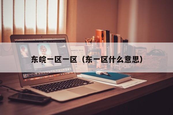东皖一区一区(东一区什么意思)