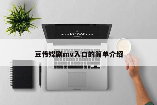 豆传媒剧mv入口的简单介绍