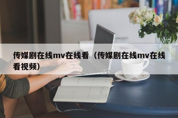 传媒剧在线mv在线看(传媒剧在线mv在线看视频)